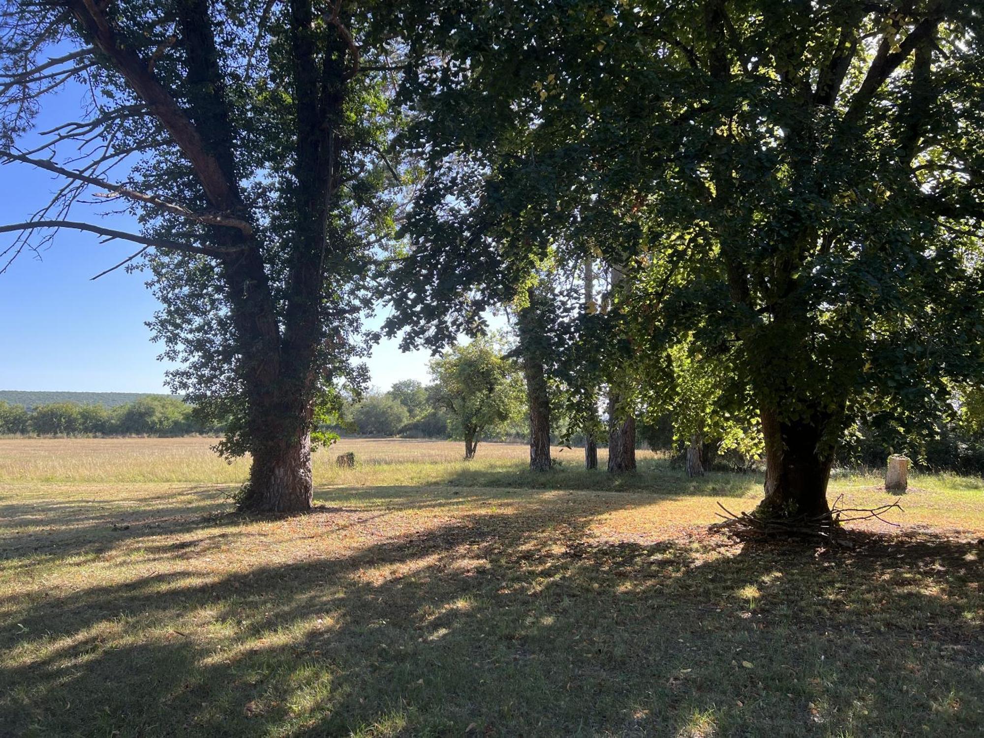 La Petite Troliere Villa Orval  Buitenkant foto